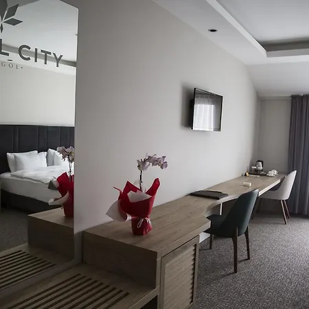 Отель Hotel City Inegoel Инегель