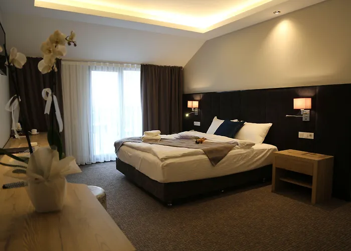 酒店 Hotel City Inegoel