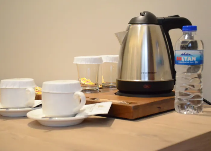 酒店 Hotel City Inegoel Inegol