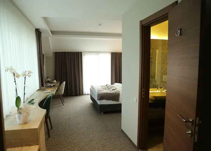 Hotel City Inegoel 酒店