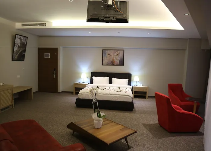 酒店 Hotel City Inegoel 3*