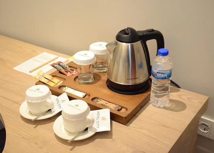 Hotel City Inegoel 3*