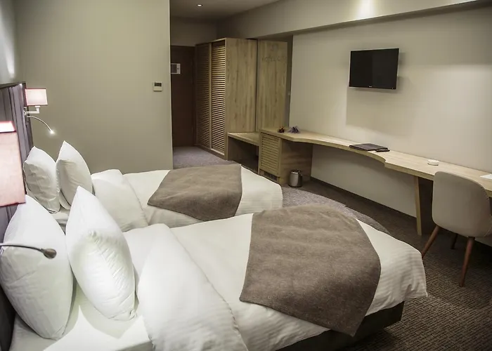 酒店 Hotel City Inegoel