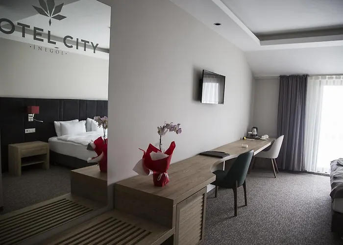 酒店 Hotel City Inegoel Inegol