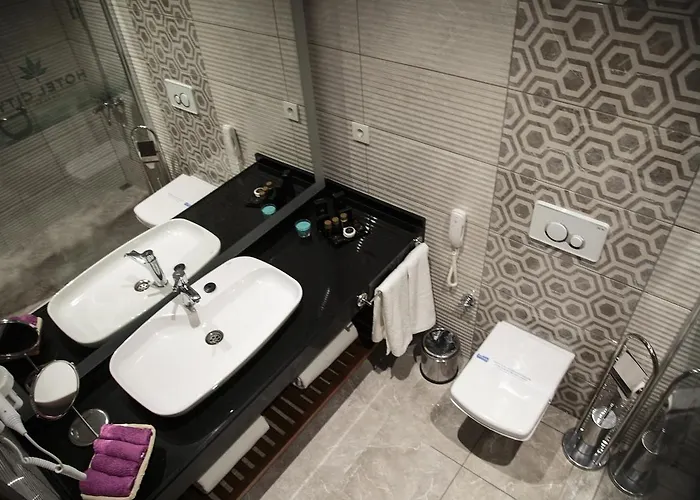 Hotel City Inegoel 3*